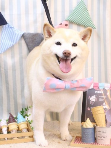 20250518メイちゃん